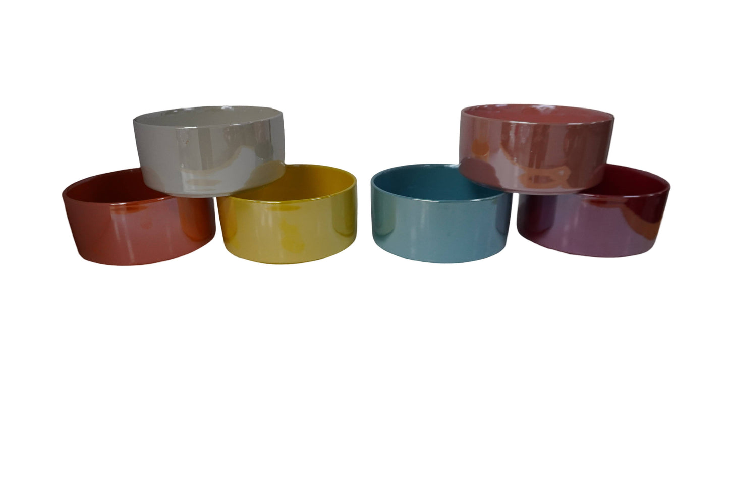 Ceramic Dog Bowl