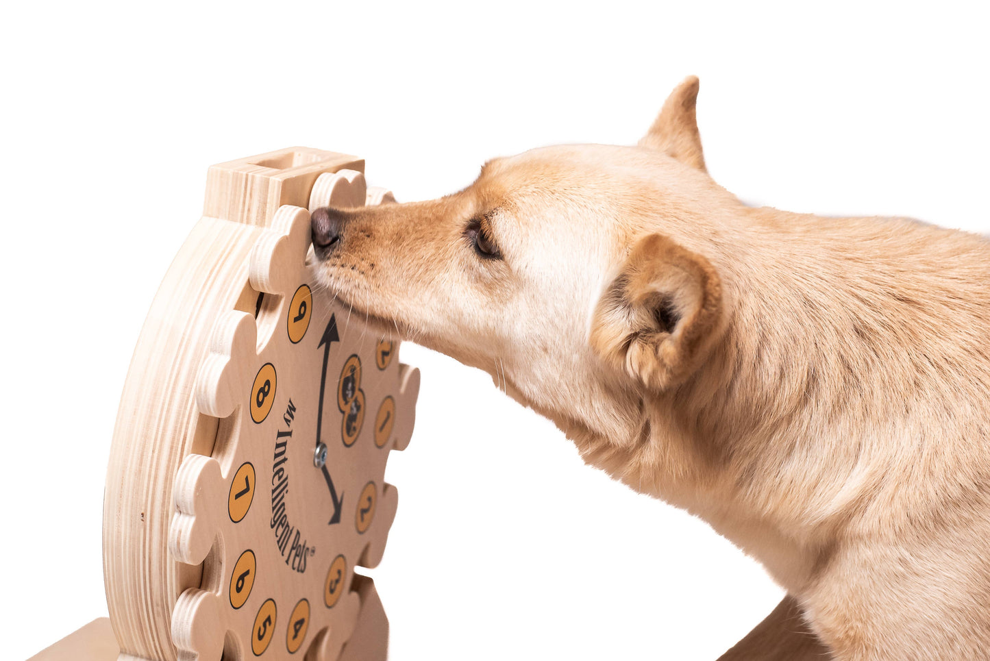 Pet's O'Clock - pet enrichment toy