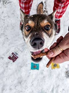 Bison Treats For Dogs 100g/3.53oz