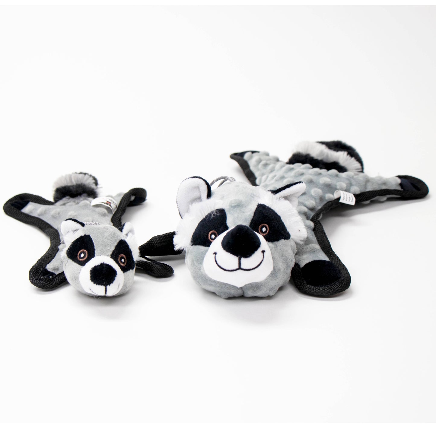 Flat Bumpy Raccoon