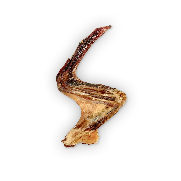 WS Duck Wings
