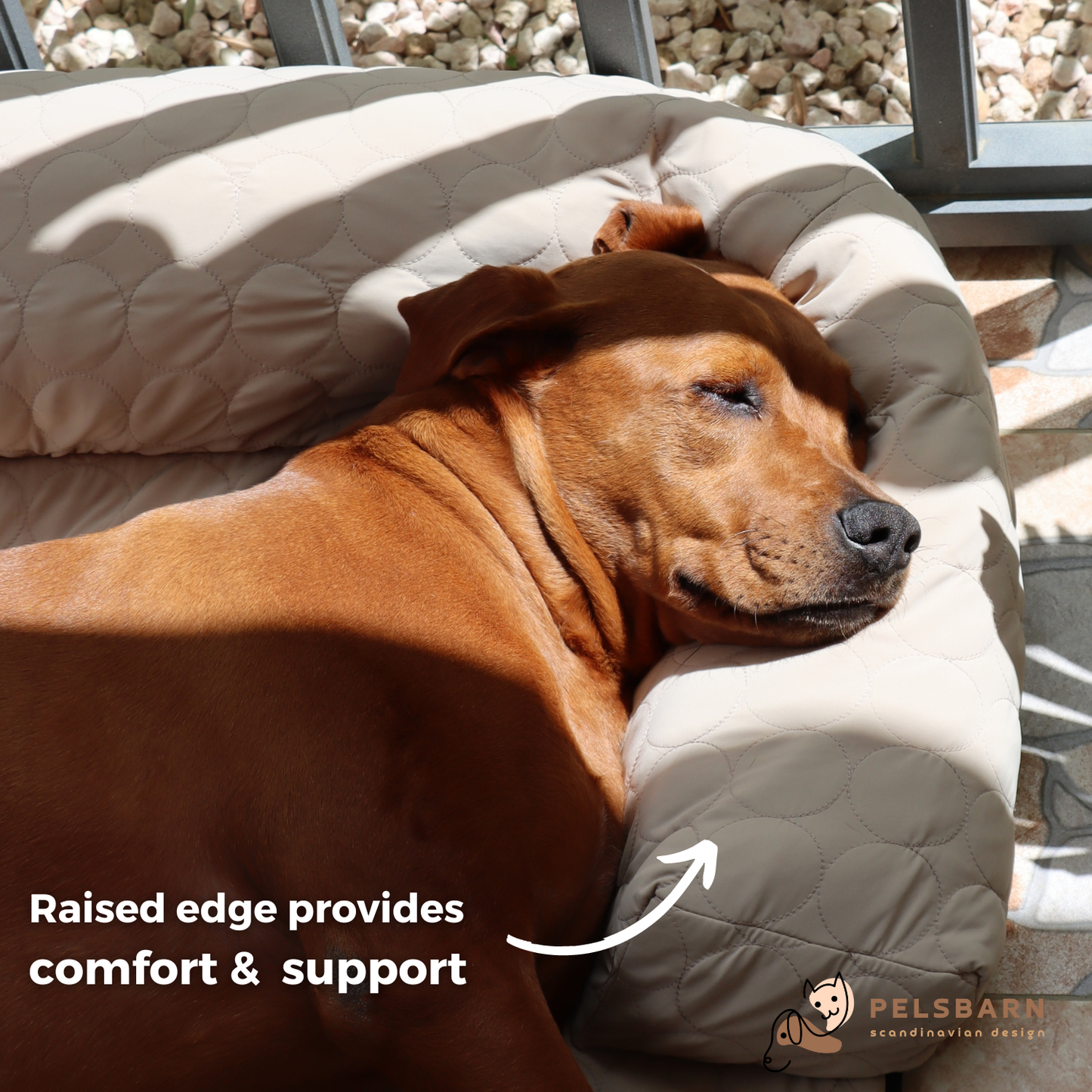 Cooling Dog Bed Heat Relief - Pelsbarn