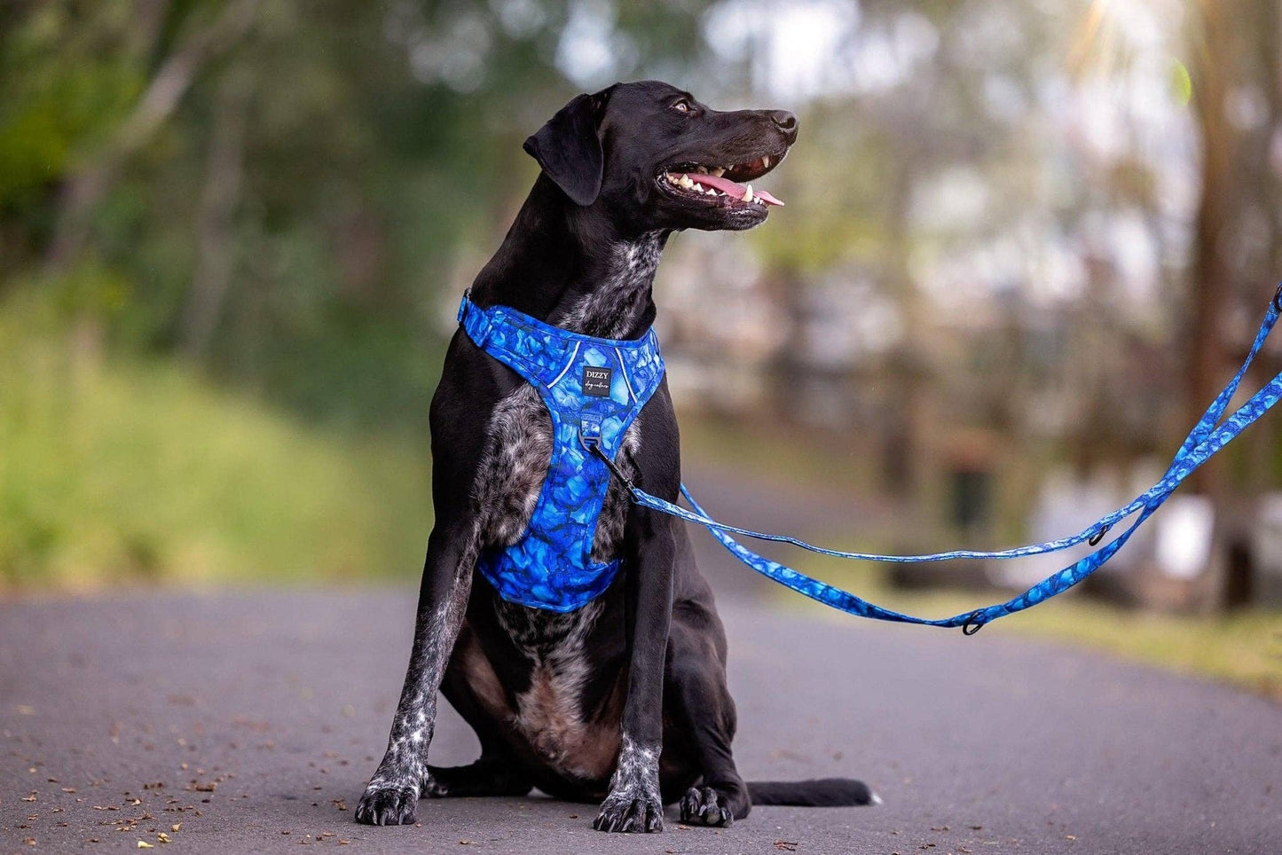 No Pull Dog Harness | Step in | Reflective | Heavy Duty | Easy Reach Handle | Blue Marble