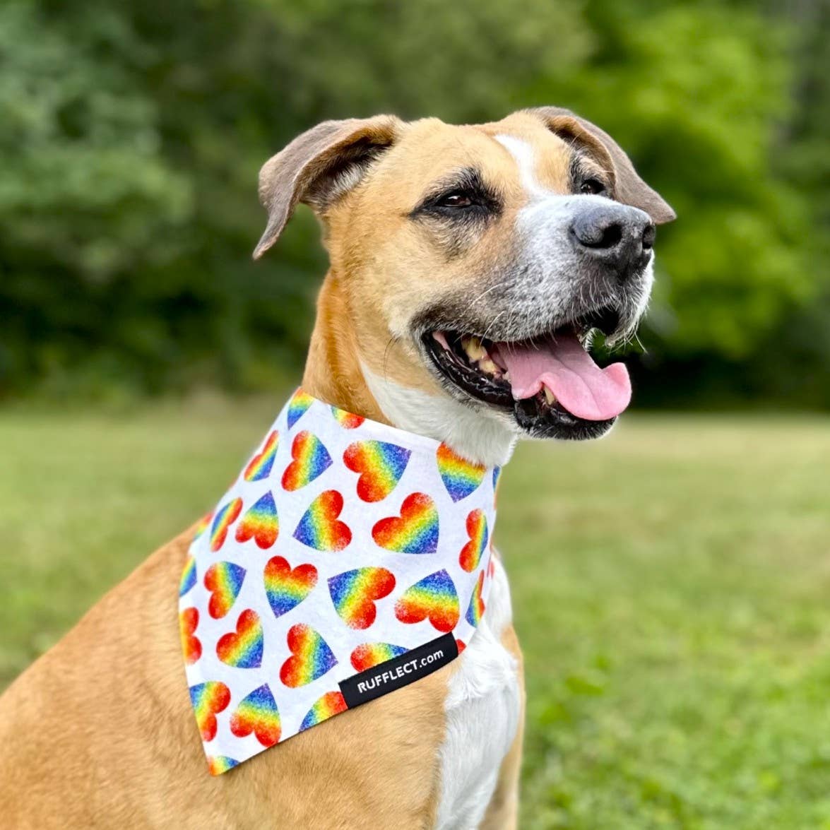 Rainbow Hearts RUFFLECT® Dog Bandana
