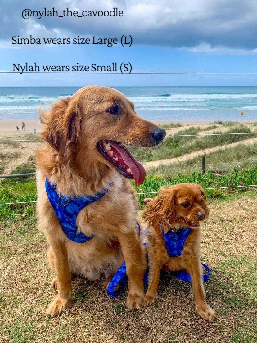 DOG HARNESS | Blue Marble | Neck Adjustable Dog Harness