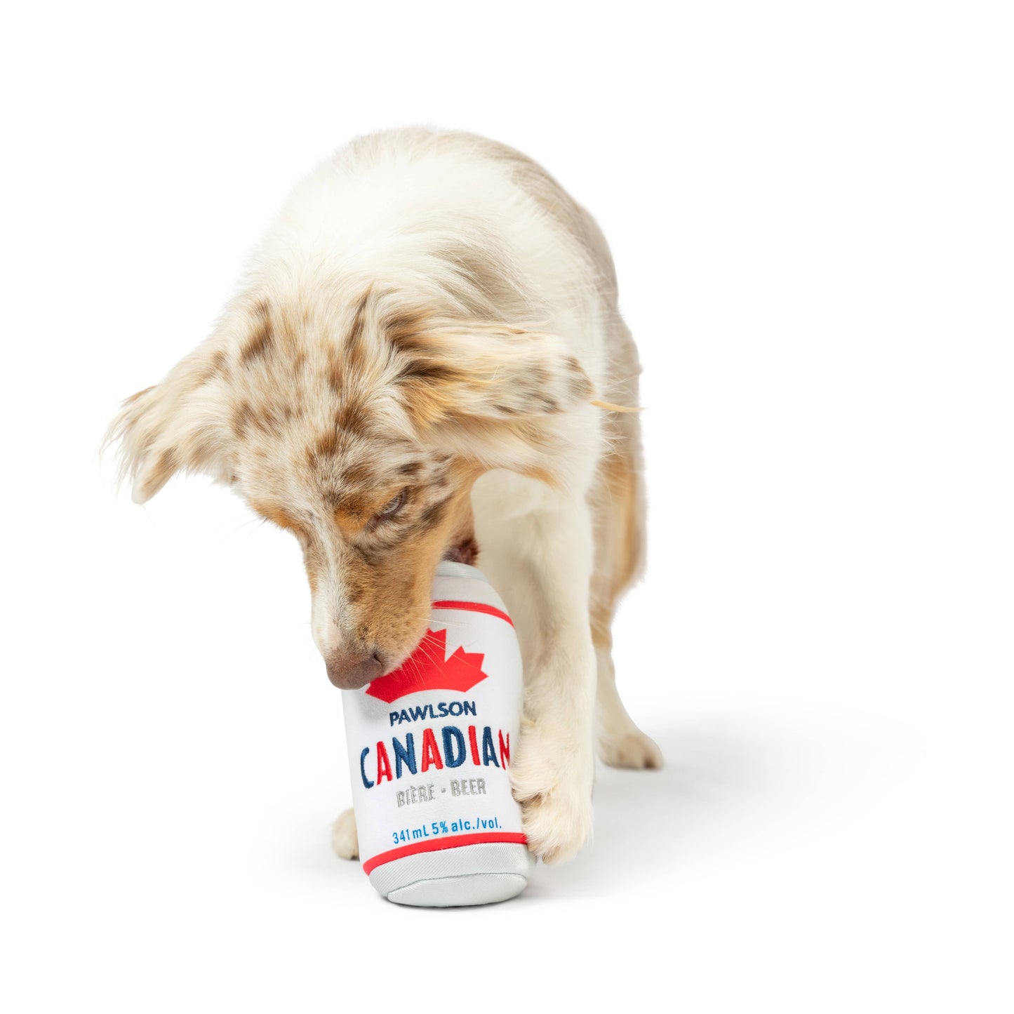 Pawlson Dog Toy
