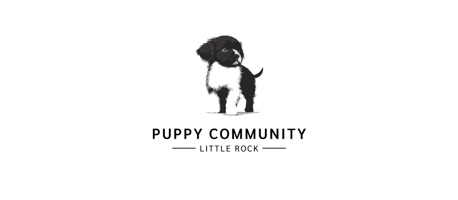 Little Rock Arkansas s Top Dog and Puppy Shop Puppy Community