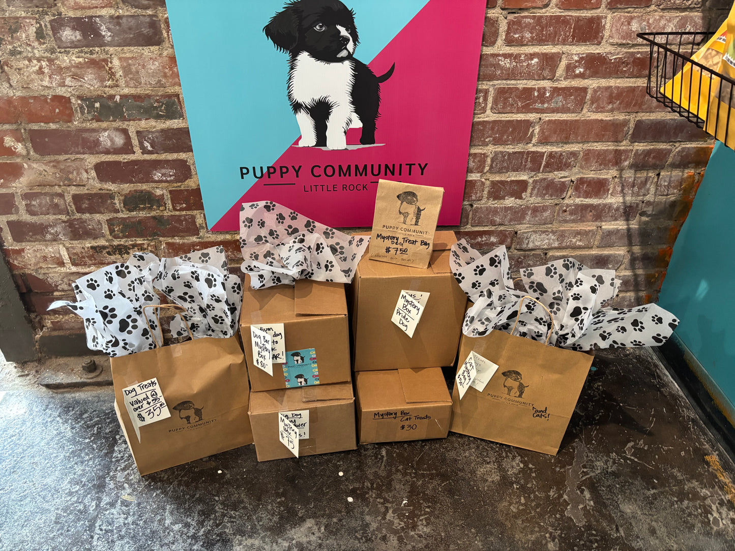 Mystery Box - Cat