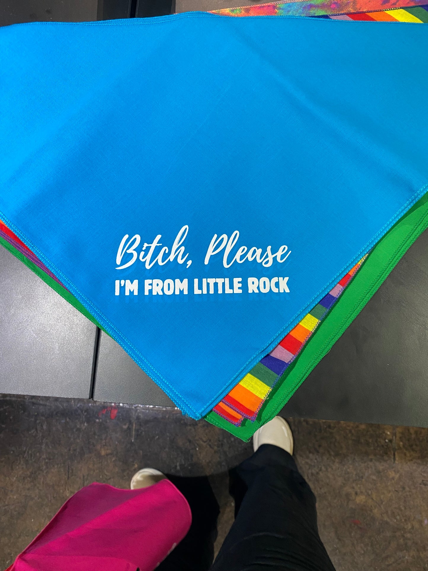 Bitch Please - I'm from Little Rock Dog Bandana