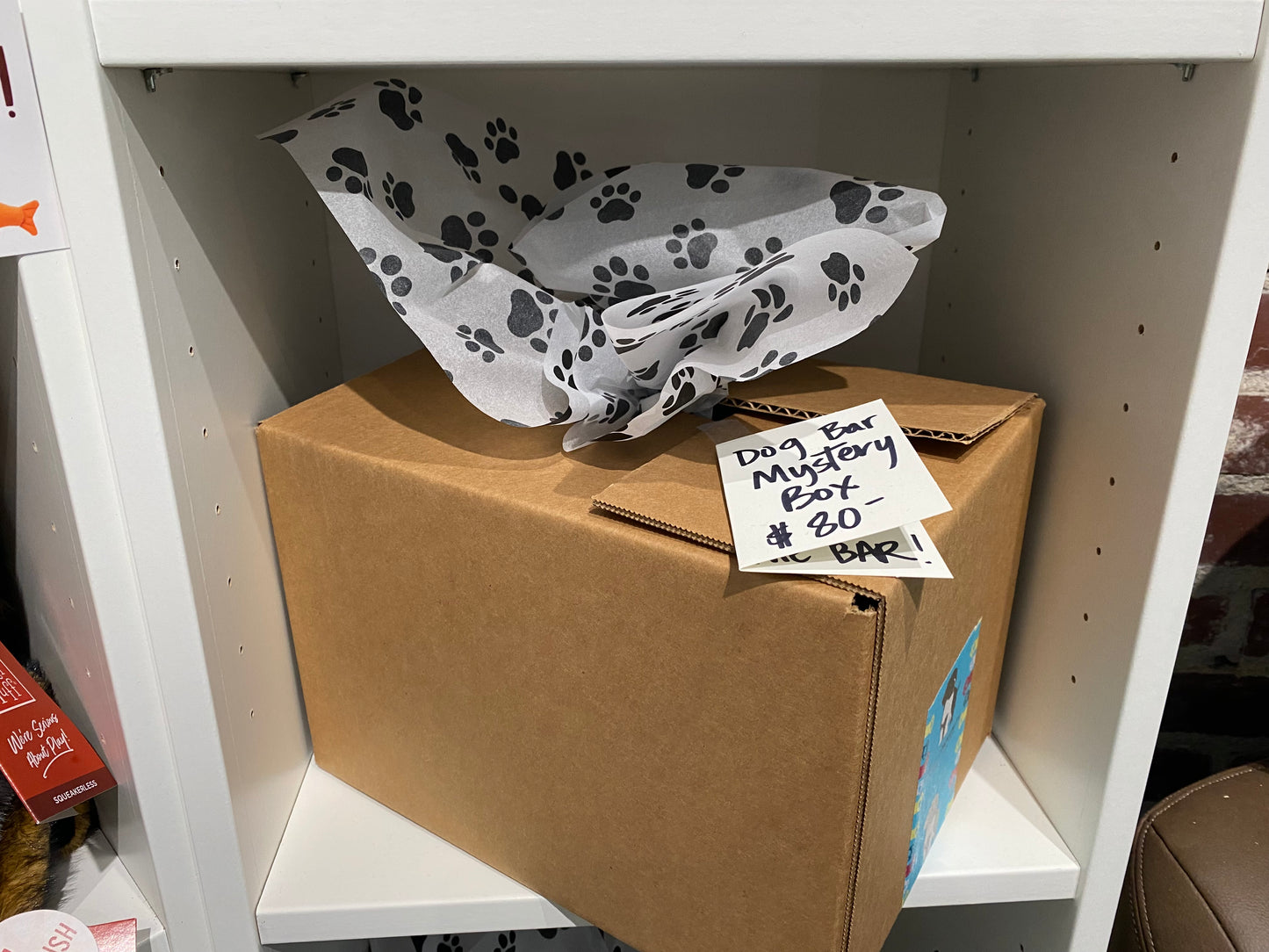 Mystery Box - Bar Dog