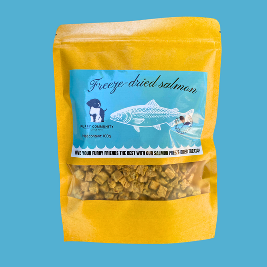 blue background with kraft resealable bag. bag contains small square pieces of freeze dried salmon.