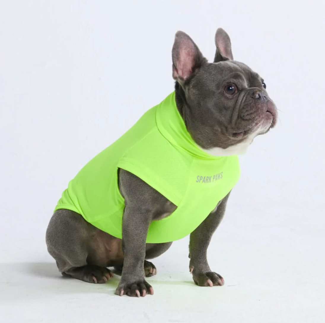 Sunblock Dog T-Shirt - Neon