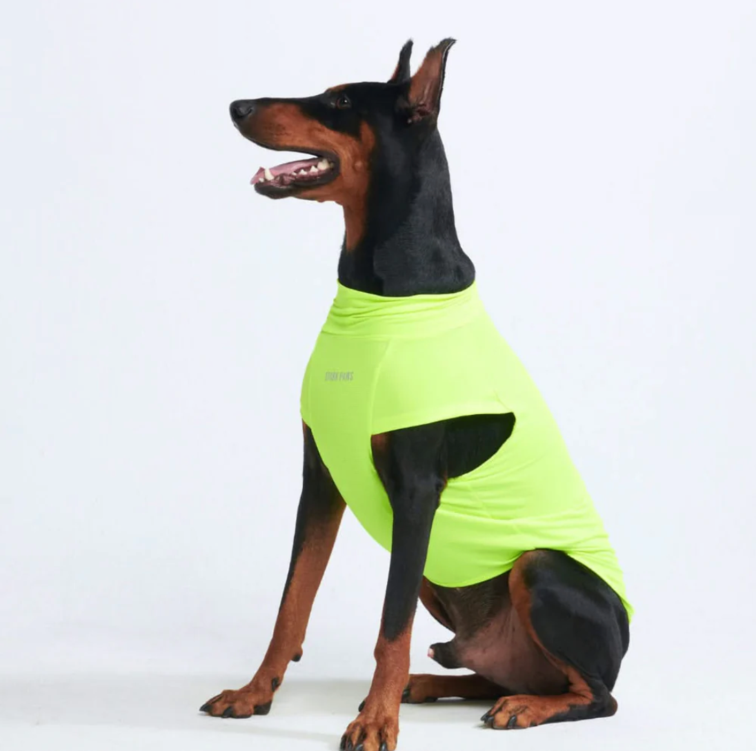 Sunblock Dog T-Shirt - Neon