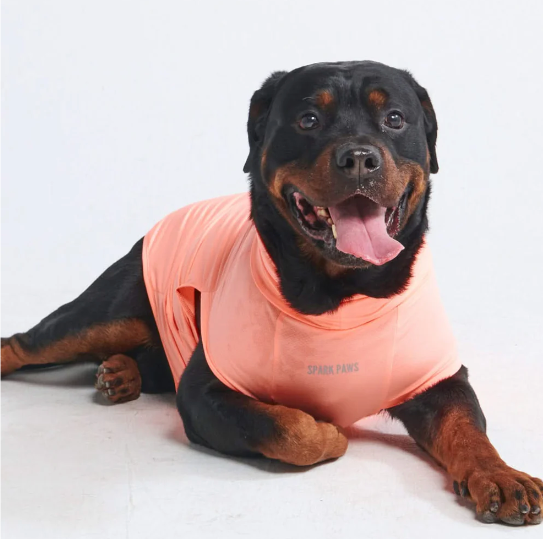 Sunblock Dog T-Shirt - Peach