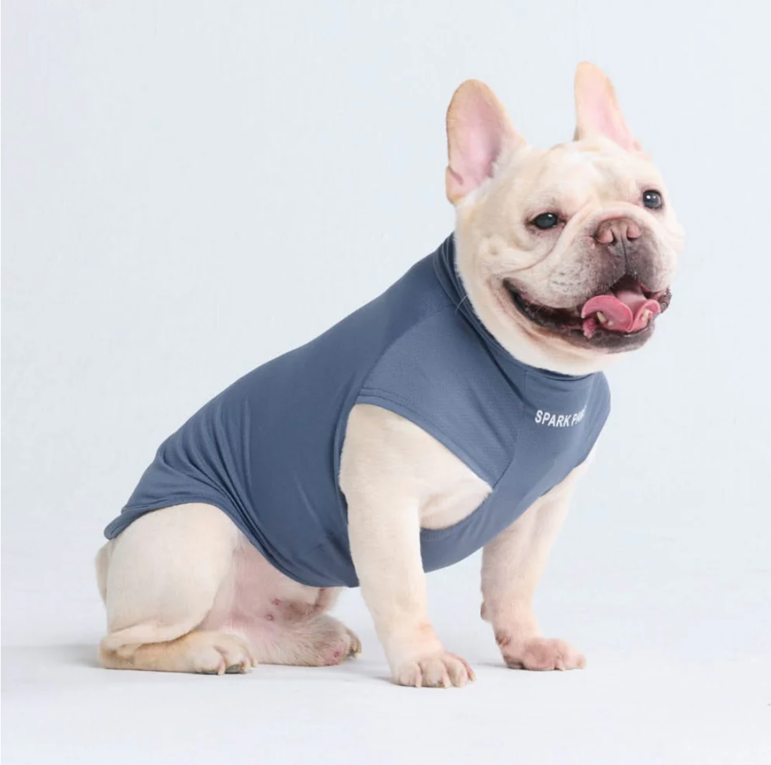 Sunblock Dog T-Shirt - Navy