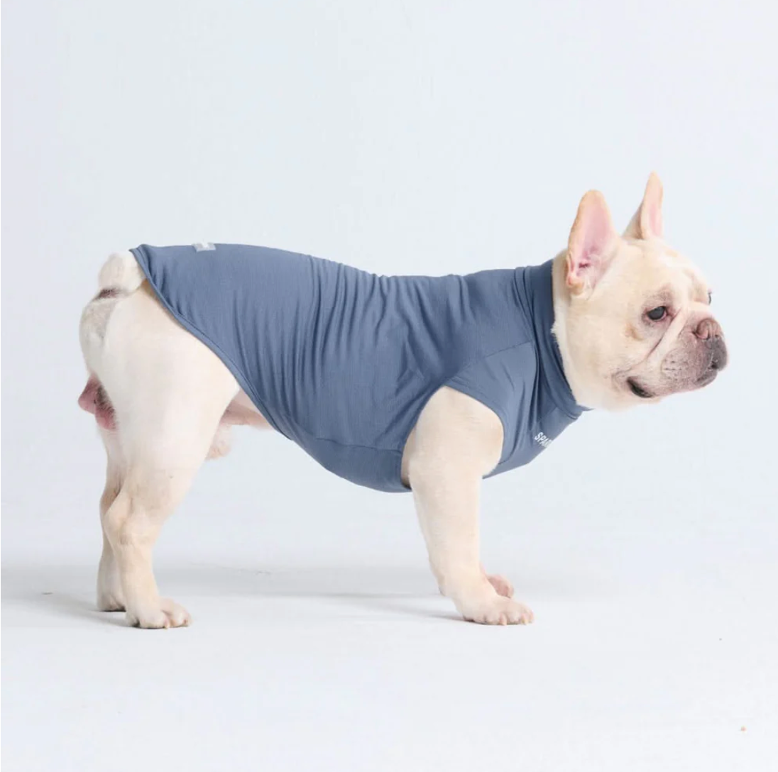 Sunblock Dog T-Shirt - Navy