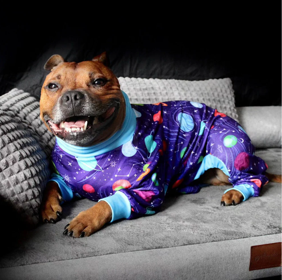 Dog Pajama - Planets