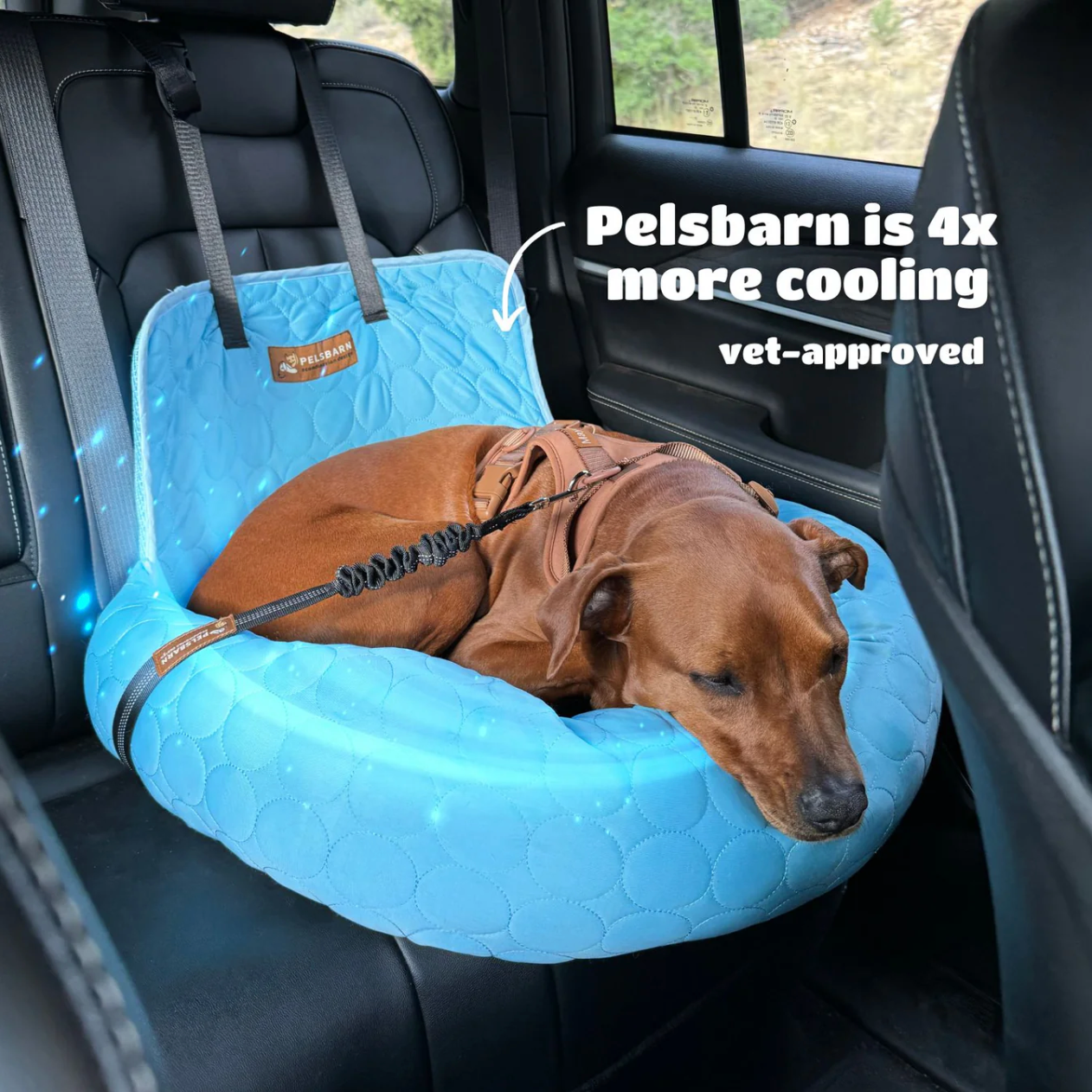 Cooling Car Bed Heat Relief - Pelsbarn