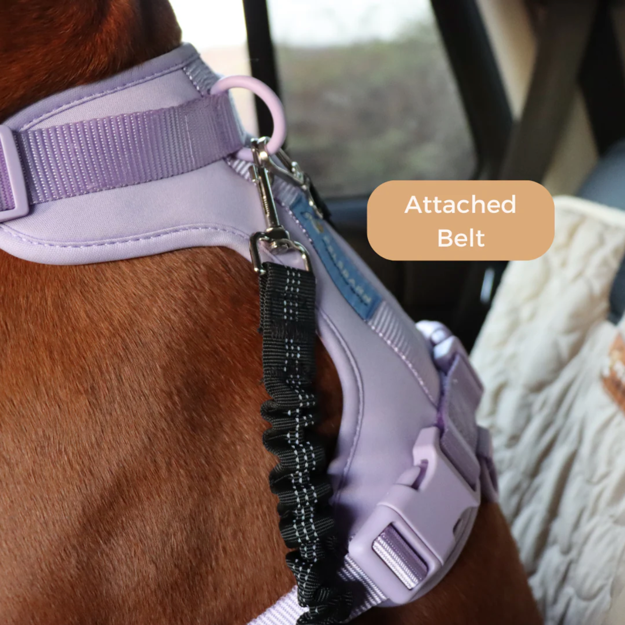 Cooling Car Bed Heat Relief - Pelsbarn