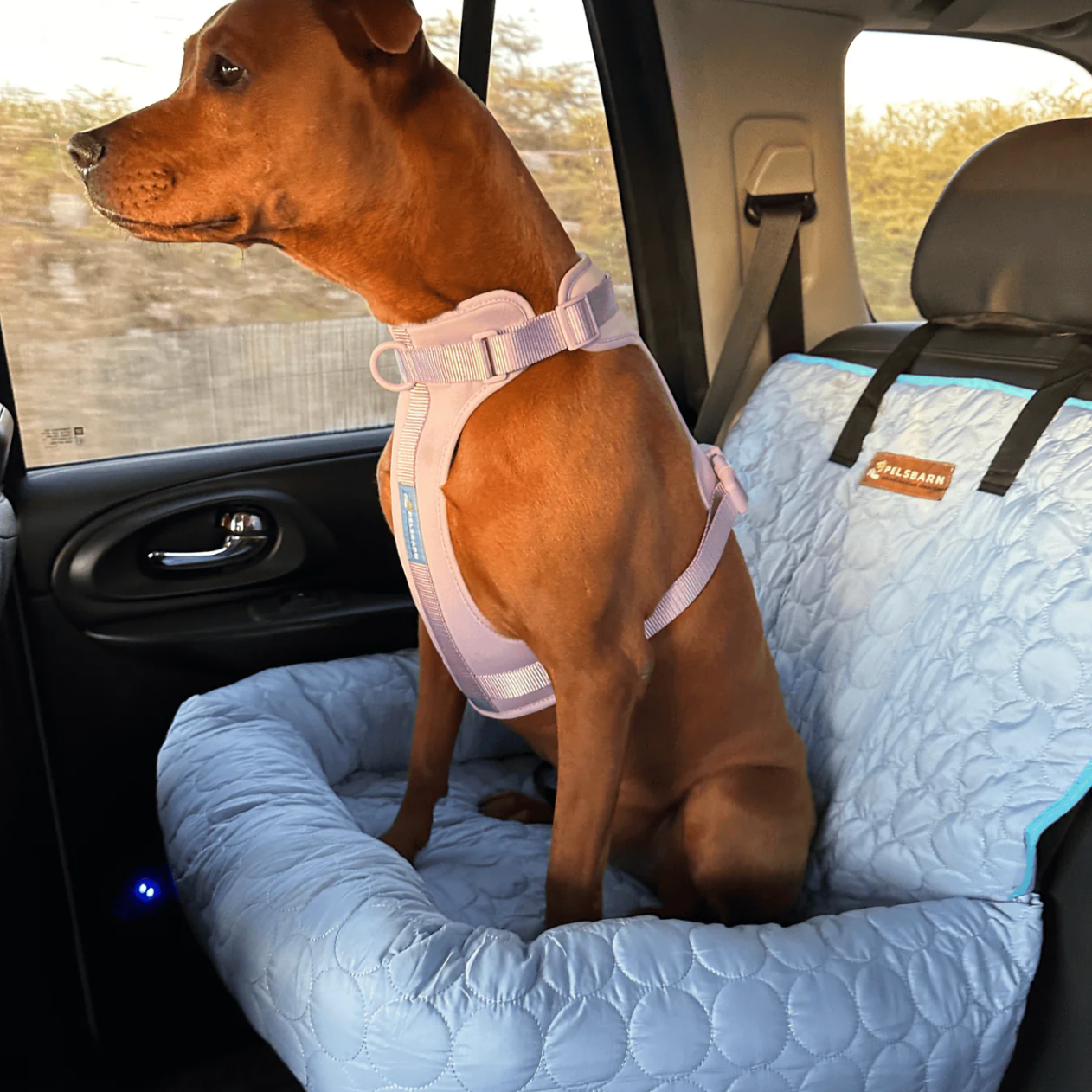 Cooling Car Bed Heat Relief - Pelsbarn