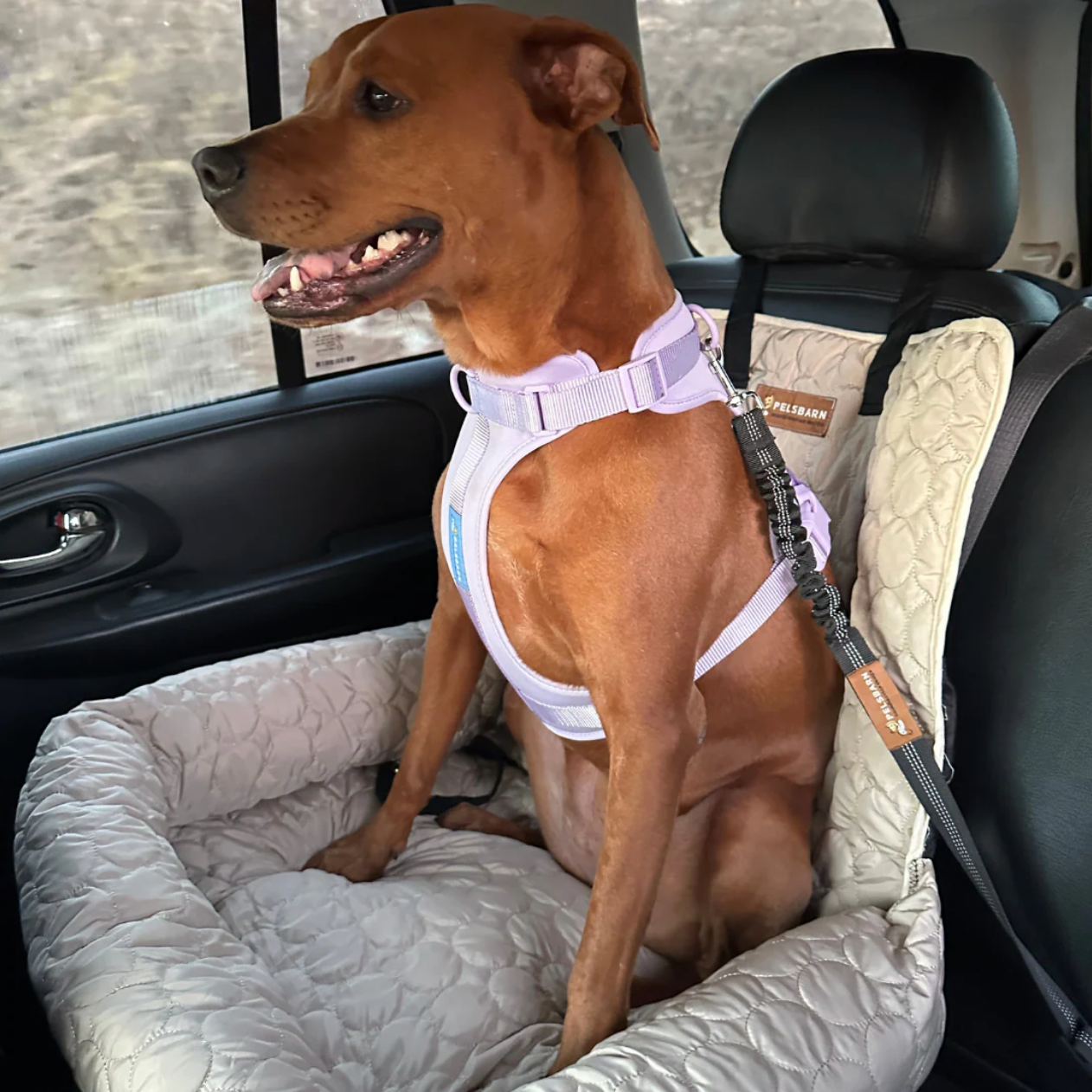 Cooling Car Bed Heat Relief - Pelsbarn
