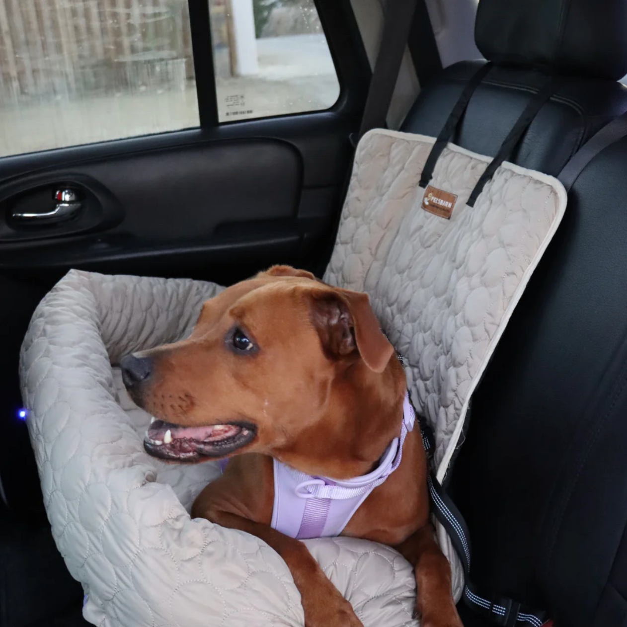 Cooling Car Bed Heat Relief - Pelsbarn