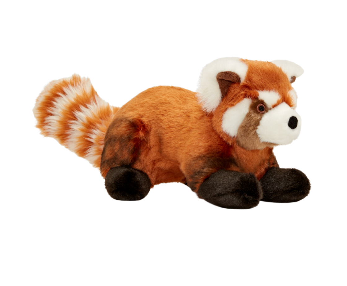 Archie Red Panda