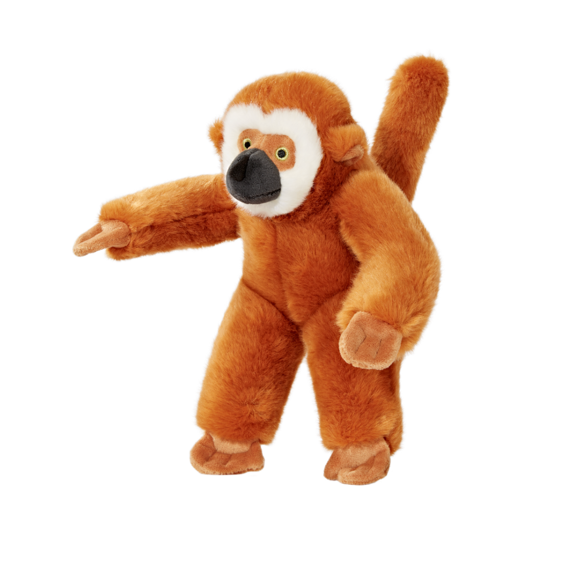 Marcel Monkey