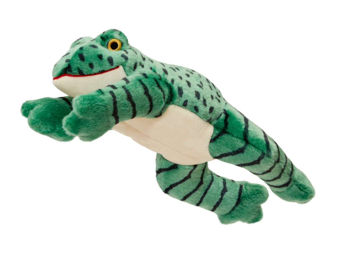 Oliver Frog