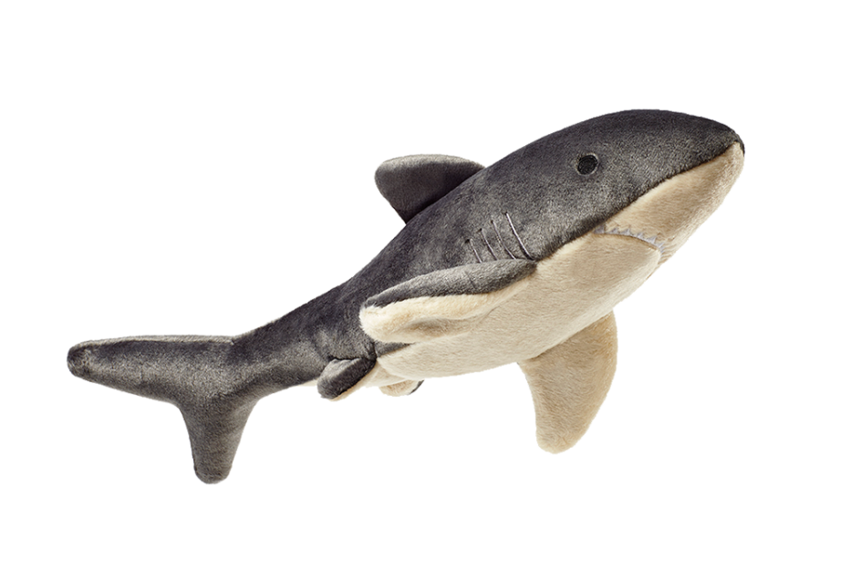 Mac the Shark