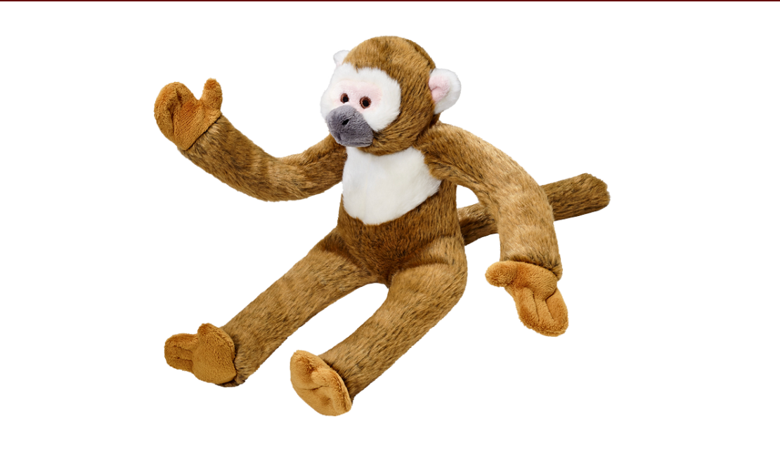 Albert Monkey