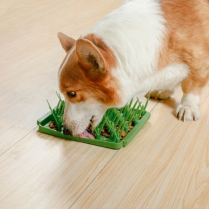 Grass Foraging Mat For Dogs