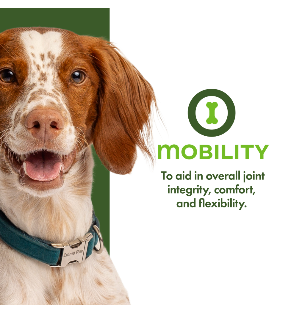Nutritionals Mobility Functional Dog Treats