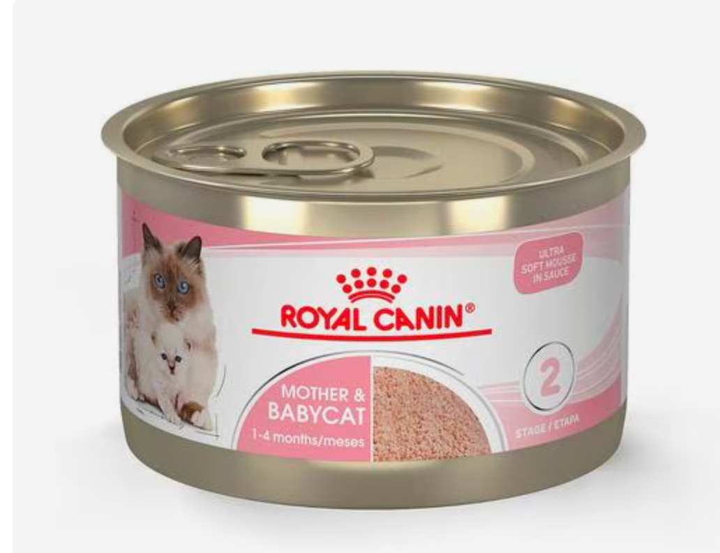 Royal Canin Stage 2 Mother & Babycat Canned Cat Kitten Food