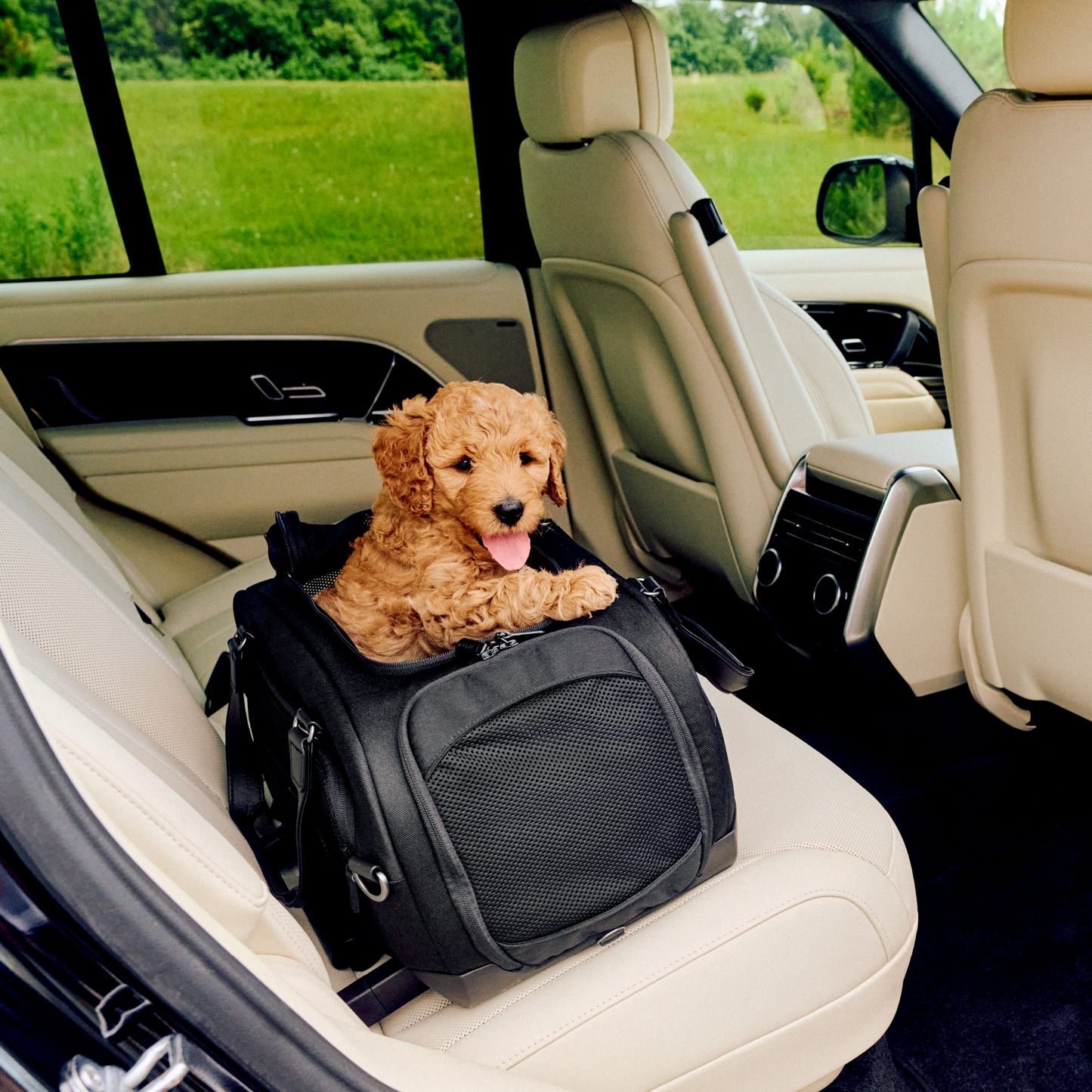 Tavo Dupree I Airline Carry-On Pet Car Seat