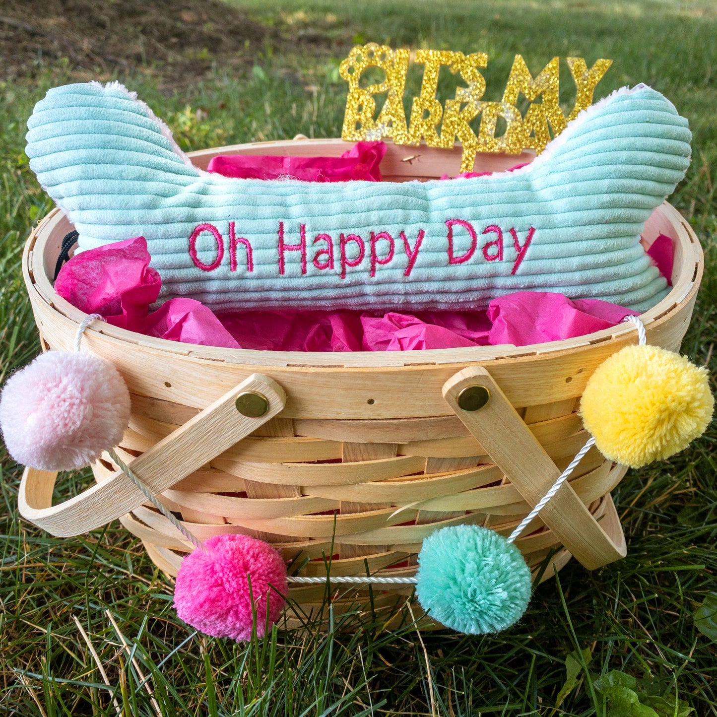 Oh Happy Day! 12" Birthday Bone Plush Dog Toy