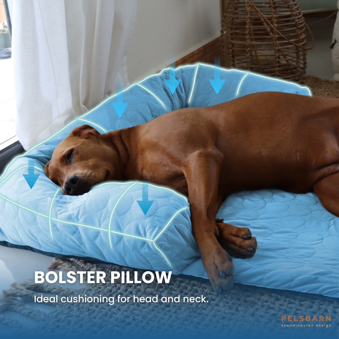 Cooling Dog Bed Heat Relief - Pelsbarn
