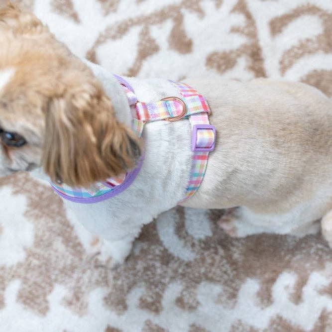 DOG HARNESS | Sherbet Gingham | Neck Adjustable Dog Harness