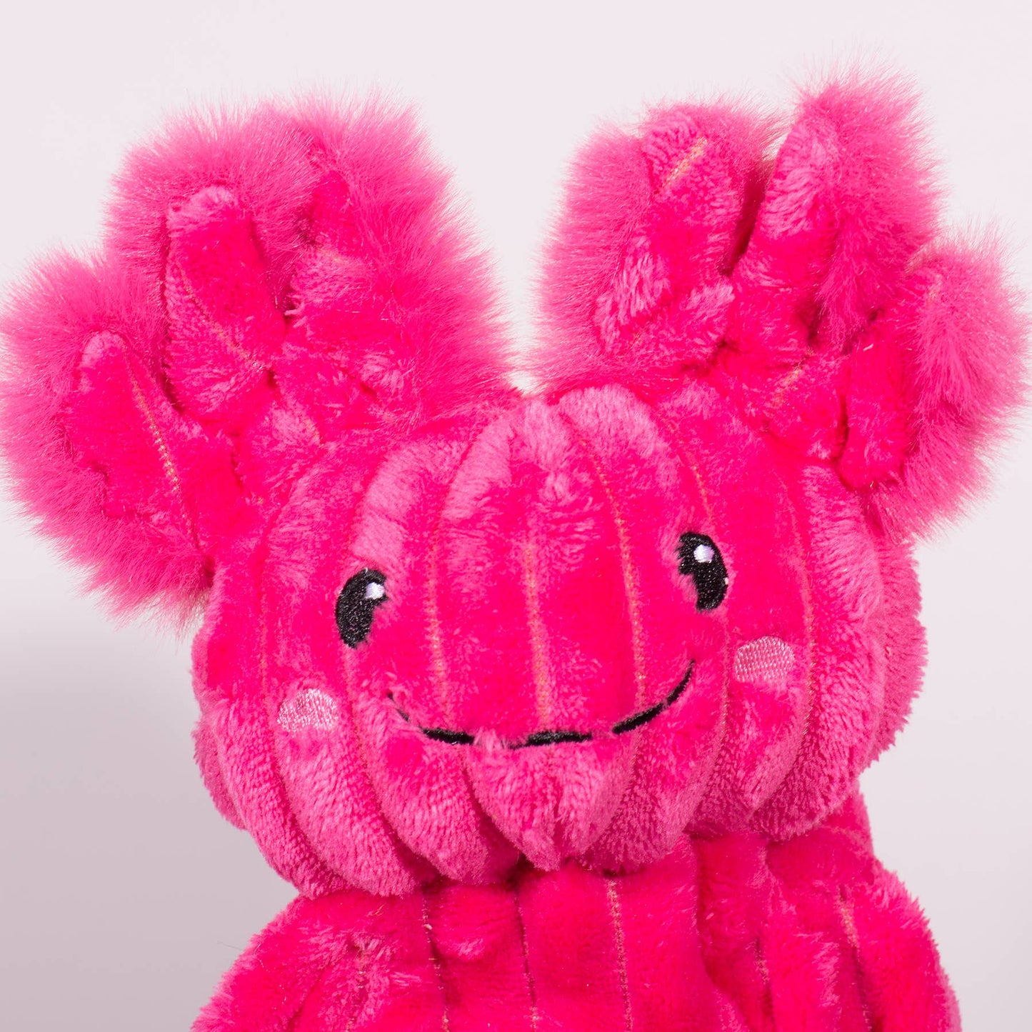 X-Brace™ Kiki & Gillie Axolotl