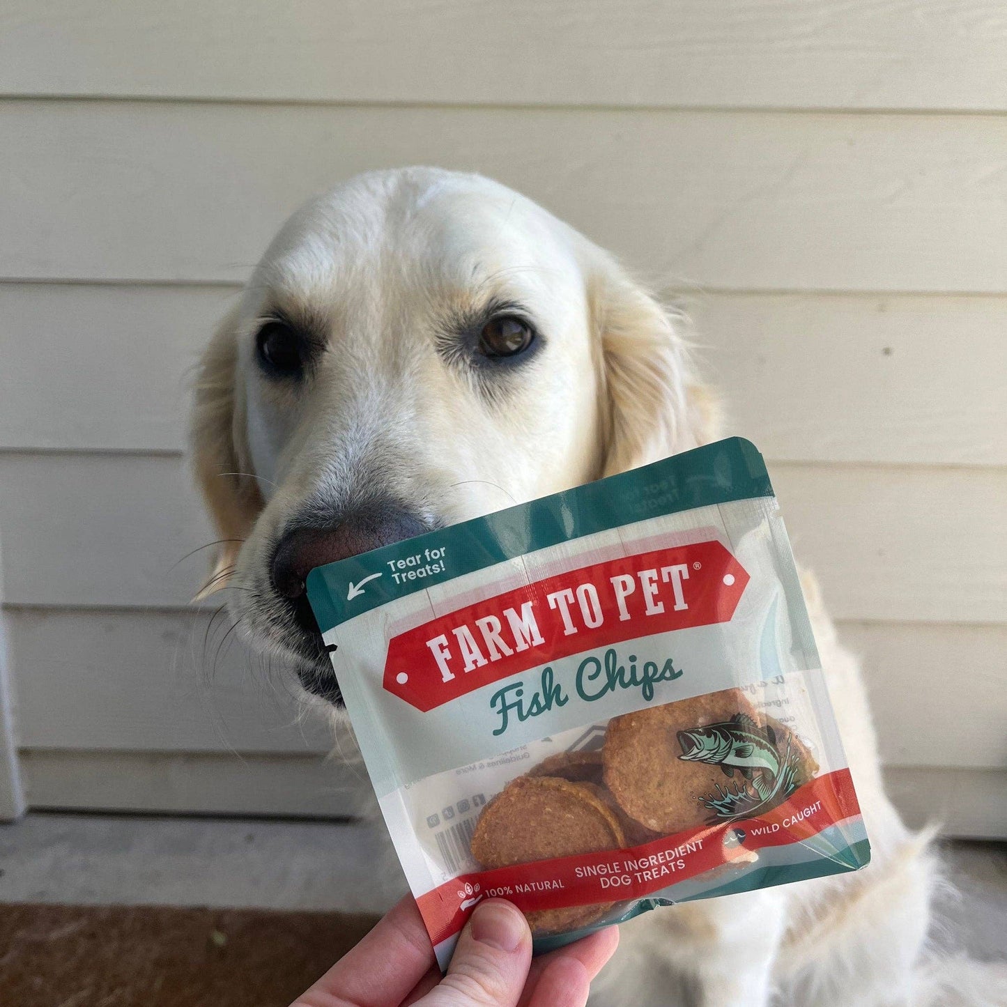 Fish Chips Healthy Dog Snack Pack