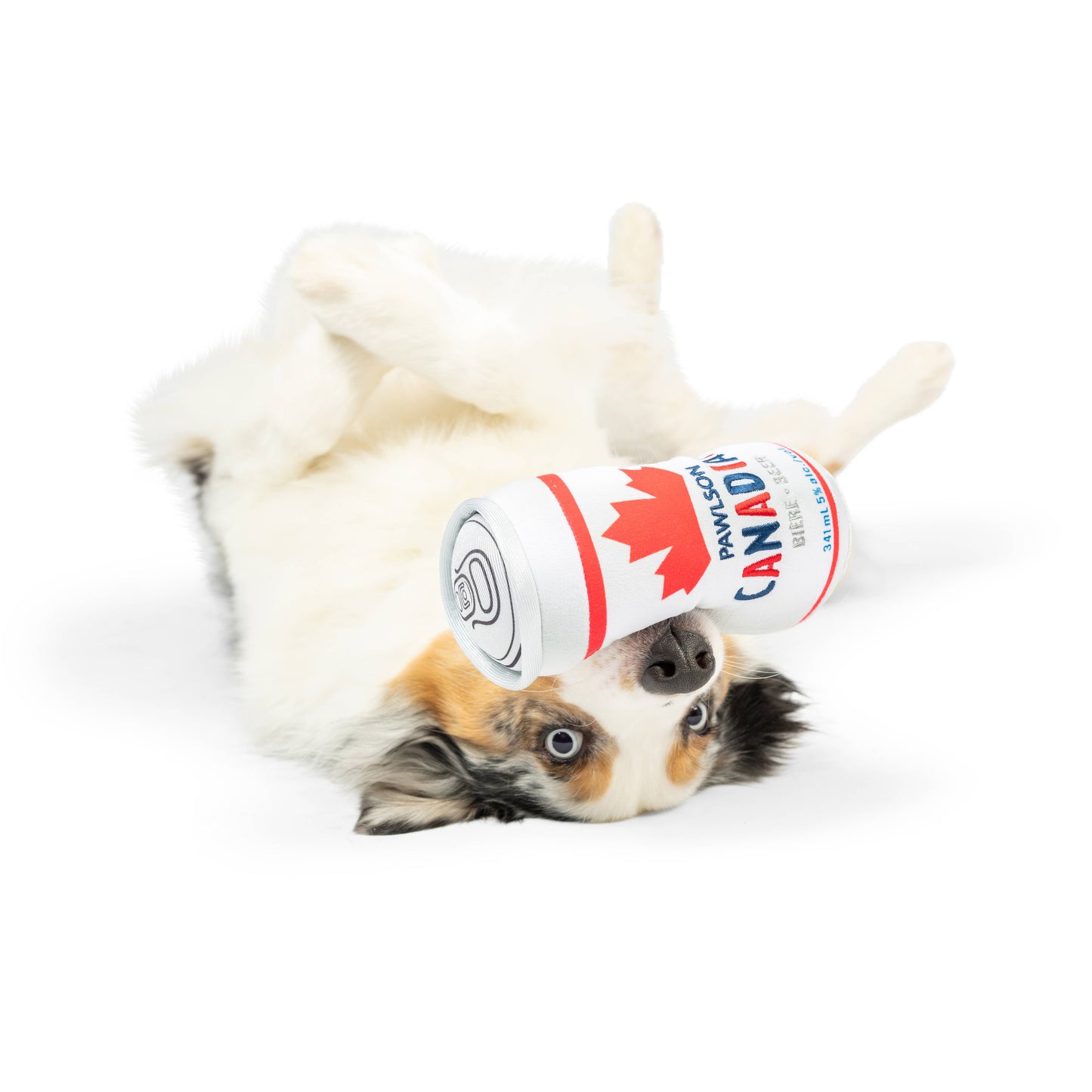 Pawlson Dog Toy