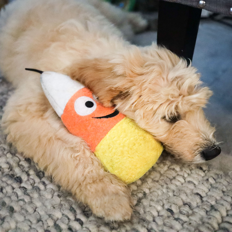 Kookie Korn Dog Toy
