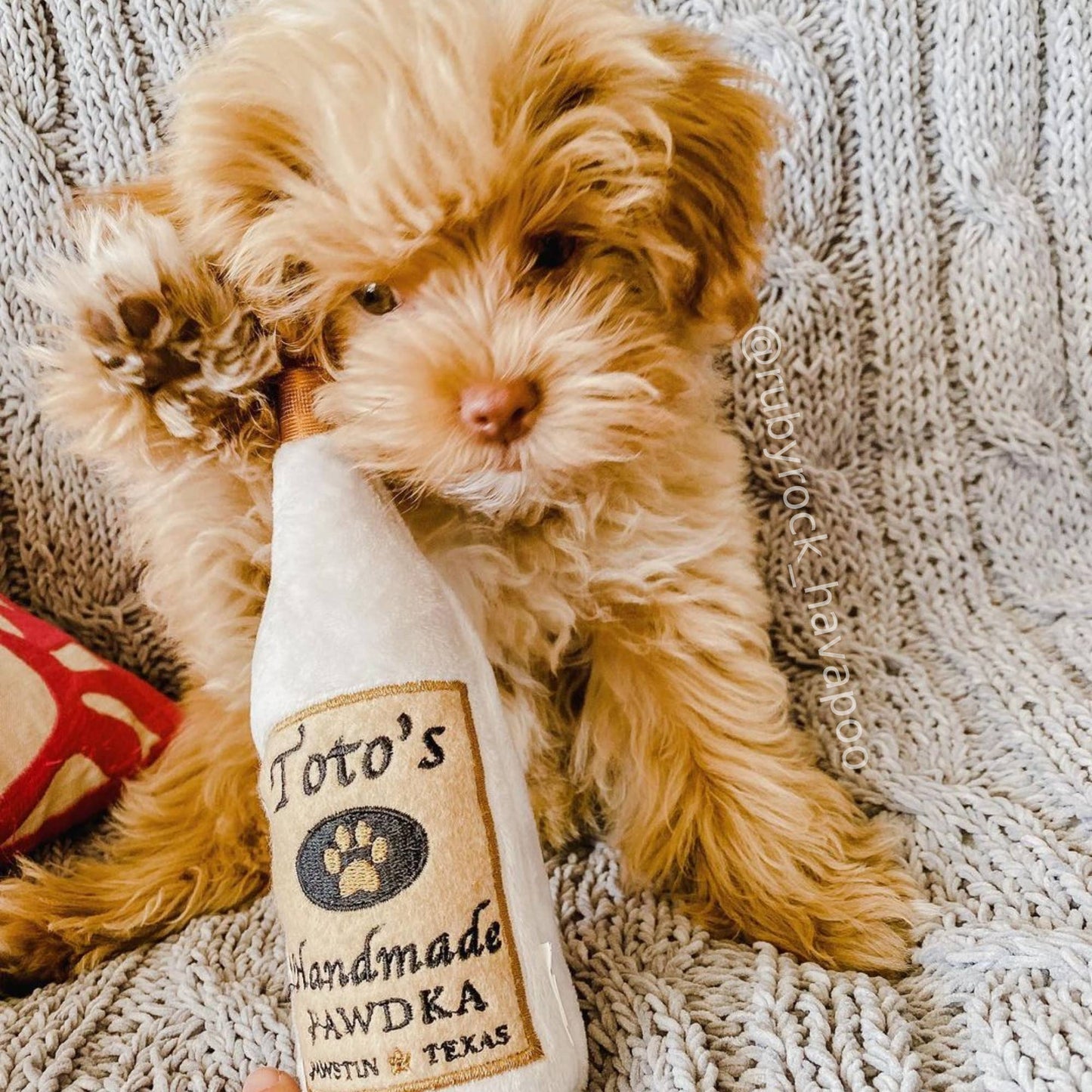 Toto's Pawdka Dog Toy