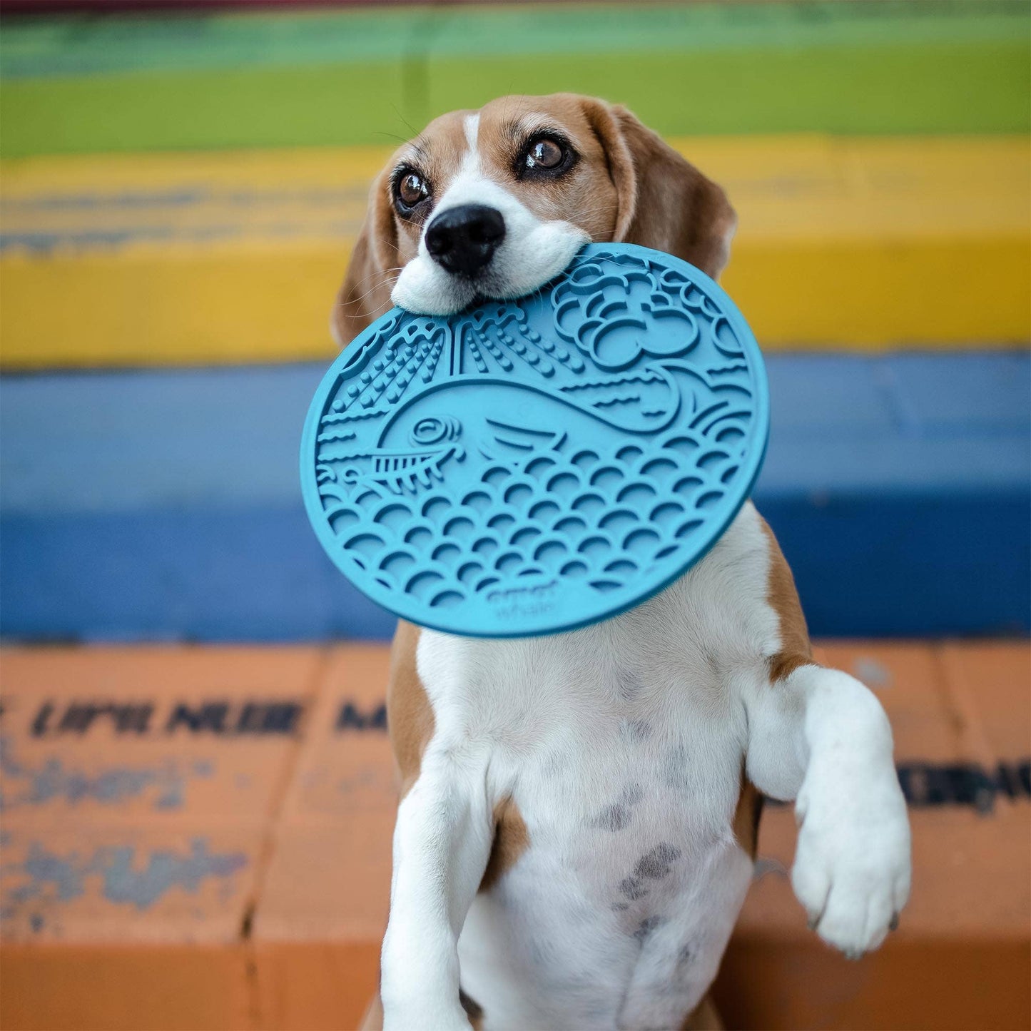 Whale Design eMat Enrichment Lick Mat With Suction Cups