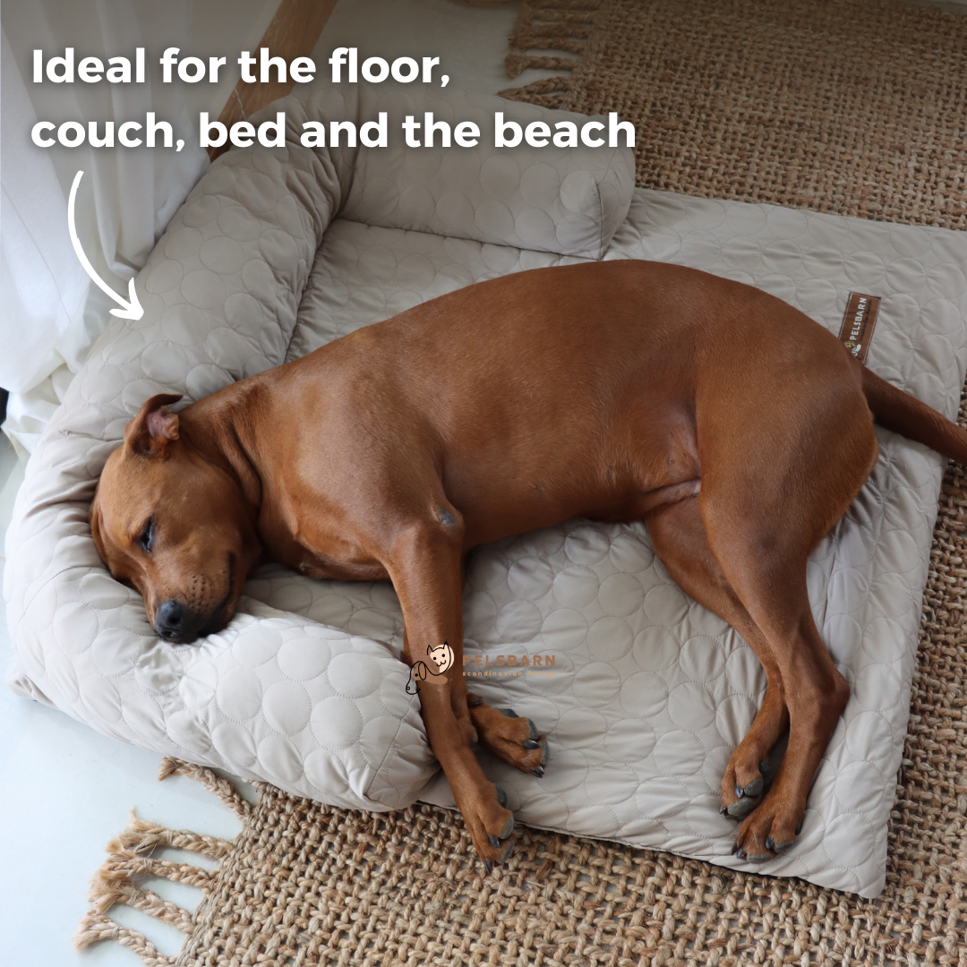 Cooling Dog Bed Heat Relief - Pelsbarn