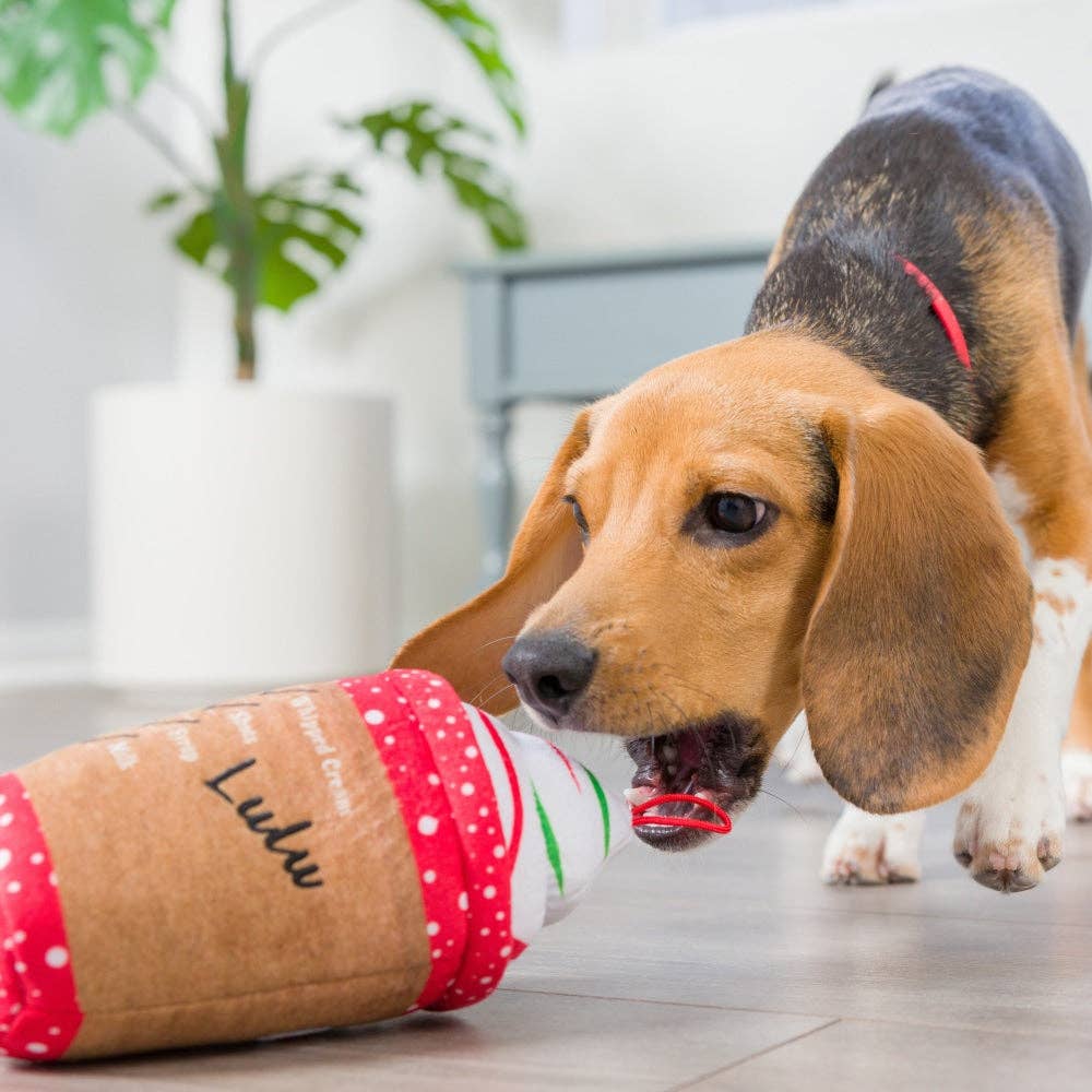 Latte My Way Dog Toy (Double Sided)