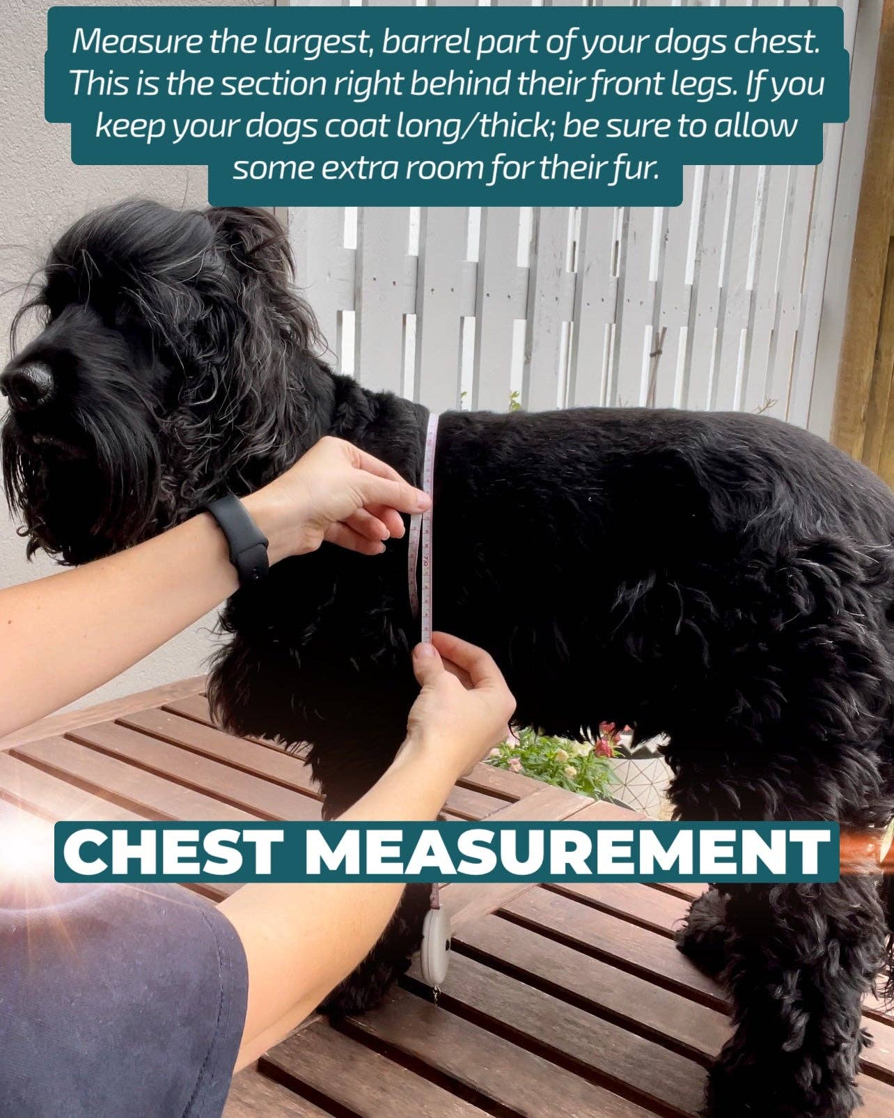 No Pull Dog Harness | Step in | Reflective | Heavy Duty | Easy Reach Handle | Blue Marble