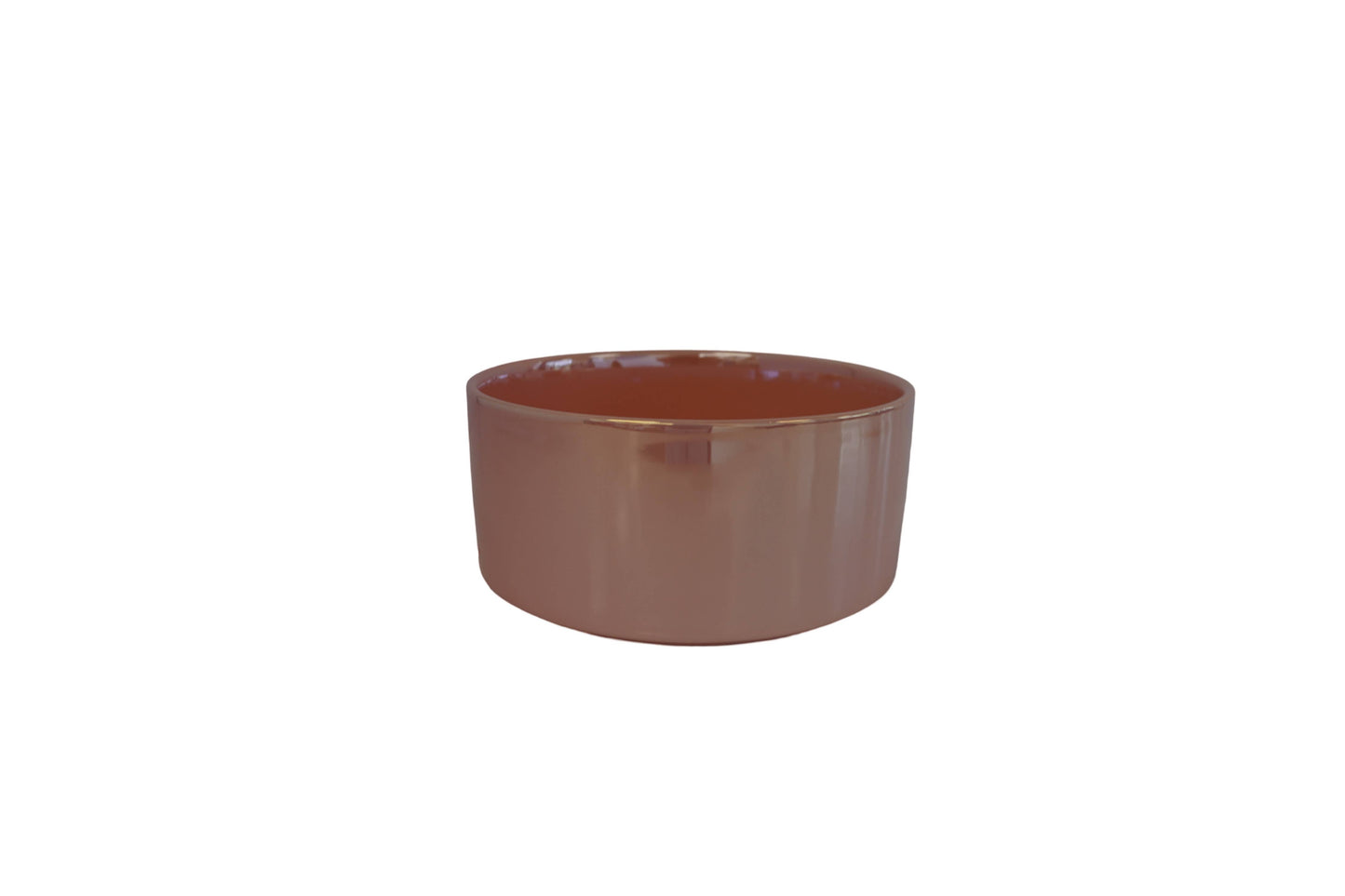 Ceramic Dog Bowl