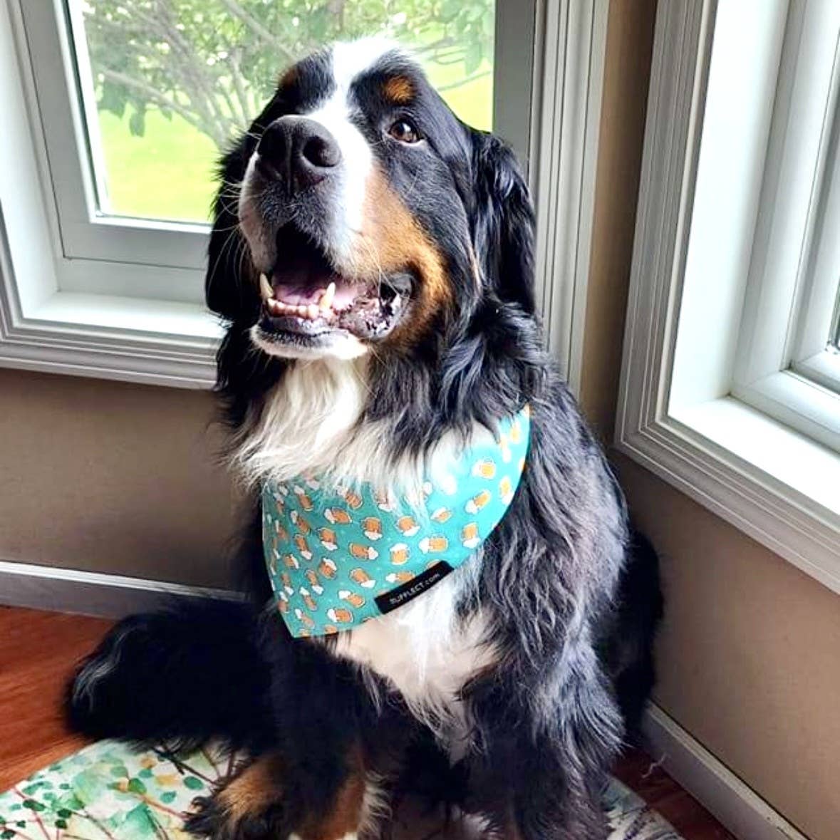 Beer RUFFLECT® Dog Bandana