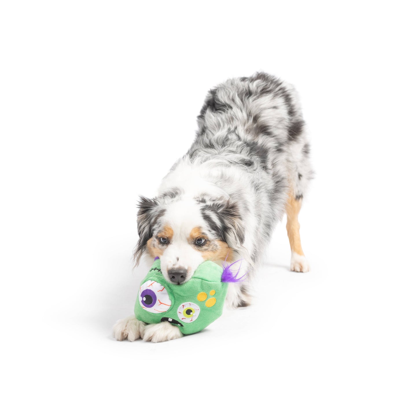 Zombie Pop 'n Fetch Pop-Eye Dog Toy
